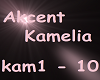 Akcent Kamelia