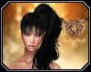 [ang]Black Phoenix