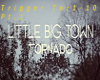 Little Big Town Tornado