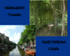 Amsterdam n' Vine tunnel