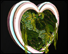 Love Heart Plant Neon