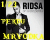Ridsa On S'est Perdu