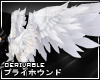 PH Feather Wings #White