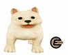 (E) Dog Puppy