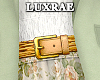 𝕃ℝ® Spring Belt
