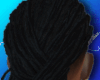 Long Locks Black