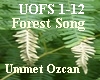 the forest song