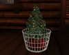 Small Tree in Basket
