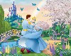 Cinderella&the castle
