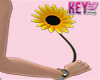 K- Sun Flower In Hand