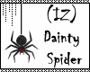 (IZ) Dainty Spider