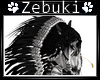 +Z+ Zebuki Indian Hair ~