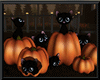 Halloween Cats/ Pumpkins