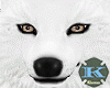 [|K|]Wolf