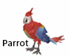 Parrot Furniture Pet