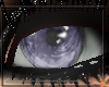Aqua Mist Purple eyes mf
