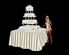 Wedding Cake/Poses