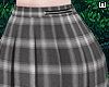w. Grey Plaid Skirt