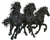 [PD] black horses