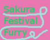 Sakura Festival Cat Ears