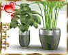 [Efr Interior Plants 30b