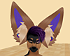 Big Brown & Purple Ears