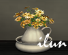 Marguerite