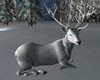 Winter White Deer `