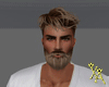 Chr Beard Fire Blond