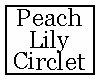 Peach Lily Circlet