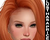 ♥Ectavioe RoseGinger