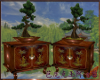 Chinase furniture bonsai