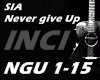 〆Sia-Never Give Up