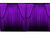 Purple  Curtion