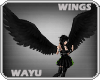 [wayu]Black Wings