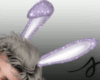 𝓼* bunny ears purple