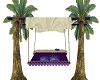 Palm Tree Swing purple