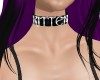 kitten collar