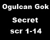 Ogulcan Gok - Secret