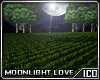 ICO Moonlight Love