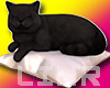 Cat Pillow Pet Black