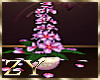 ZY: Pink Flower Plants