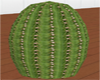 :) Cactus Plant 1