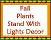 Plants Stand Lights Deco