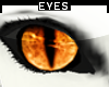 [M] Orange * Cats Eye