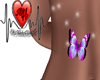 Pink Belly Butterfly