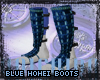 Blue Hohei Boots