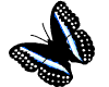 Gothic Black Butterfly