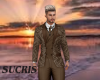 ELEGANT BROWN SUIT
