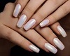 Nails  (White)